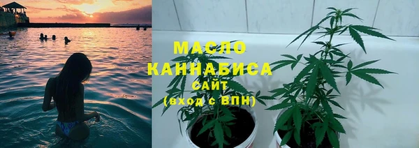 соль ск Новозыбков