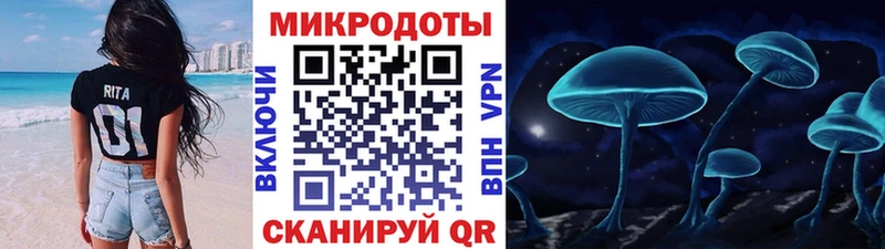 Галлюциногенные грибы Magic Shrooms  MEGA ССЫЛКА  Верхоянск  где можно купить  